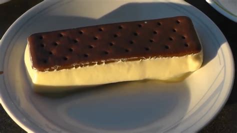 Ice Cream Sandwich Laughs In Face Of Sun Youtube