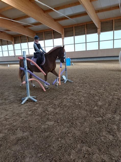 Pferdepension Und Reitanlage Sch Fer In Zimmern Unter Der Burg