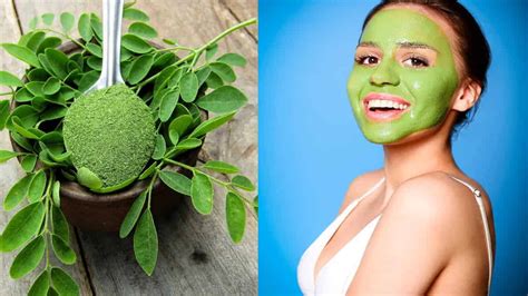 Manfaat Masker Daun Kelor Untuk Kecantikan Kulit Wajah