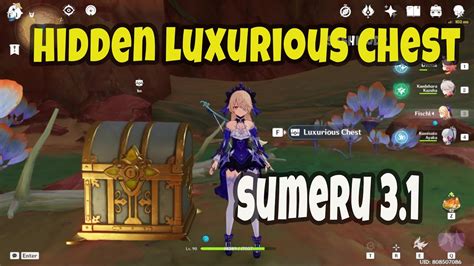 Hidden Luxurious Chest Valley Of Dahri Sumeru Youtube