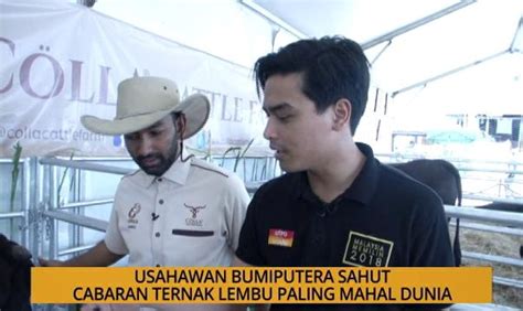 SME Usahawan Bumiputera Sahut Cabaran Ternak Lembu Paling Mahal Dunia