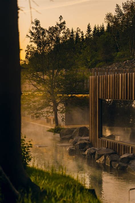 Iceland’s Blue Lagoon architects have designed a spectacular forest spa in the country - The Spaces