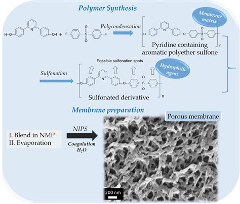 Polymers Free Full Text Preparation Of Porous Polymeric Membranes