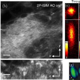 Imaging Through Multimode Bers A A Multimode Ber Scrambles Input