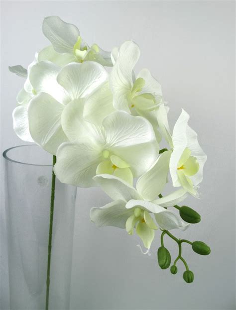 Artificial Flowers Orchids Silk Butterfly Phalaenopsis For Etsy