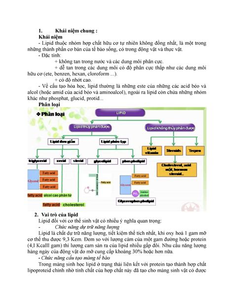 Lipid FOR YOU Khái niệm chung Khái niệm Lipid thuộc nhóm hợp chất