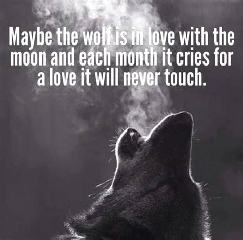 Pin By Ashley Nicole On Relationship Goals Lone Wolf Quotes Wolf