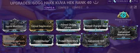 Finally Completed My Build For Kuva Hek R Warframe