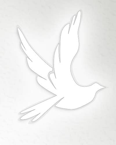 William Wells Iii Obituary 2025 Gainesville Ga Little