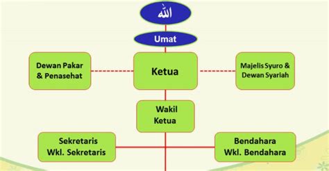 Detail Contoh Struktur Yayasan Koleksi Nomer