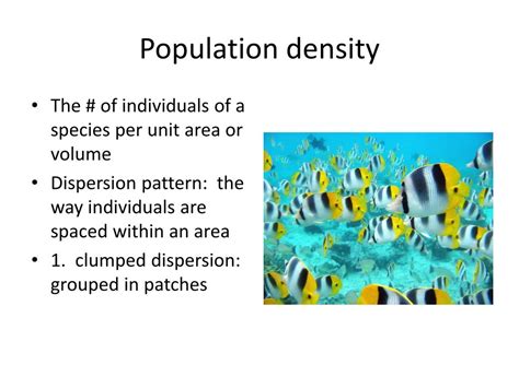 Ppt Chapter 36 Population Ecology Powerpoint Presentation Free Download Id6828484