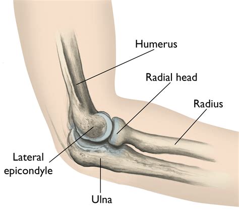 RADIAL HEAD FRACTURES Midwest Bone And Joint Center