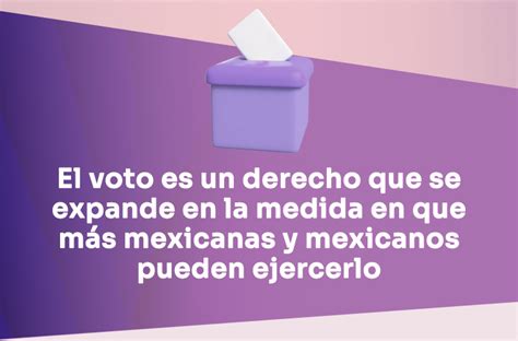 Para Las Elecciones 2024 Se Elegirán Más 20 Mil Cargos De Elección