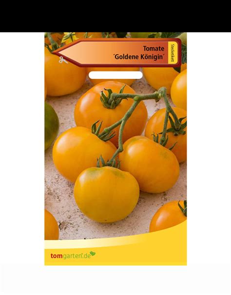 Tomate Goldene Königin Solanum lycopersicum Goldene Königin