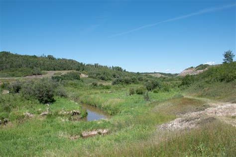 Stoney Creek Hike – Waskahegan Trail Association