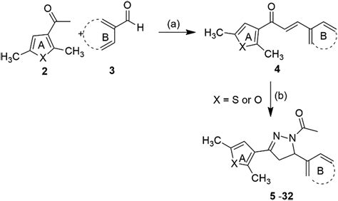 Organic Spectroscopy International Synthesis And Biological Evaluation