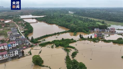 江西强降雨已造成536万人受灾，直接经济损失67亿元绿政公署澎湃新闻 The Paper