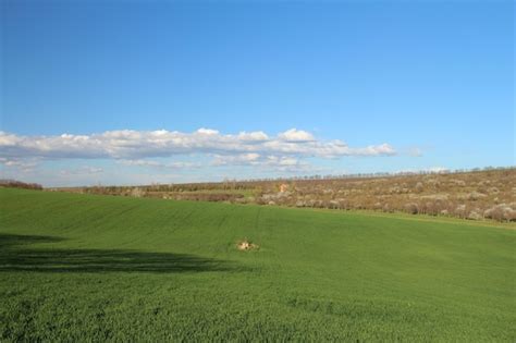 Premium Photo A Grassy Field With A Hill In The Background