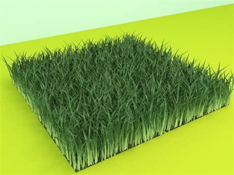 Grass | Free 3D models