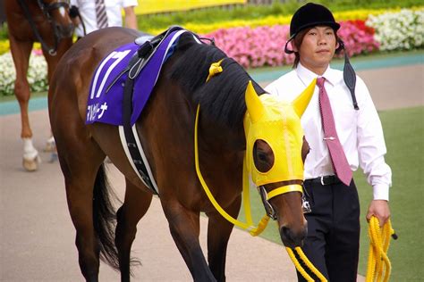 ディープインパクト産駒初のgi馬・2011年桜花賞馬マルセリーナが引退、繁殖入り 愛しのサラブレッド写真館