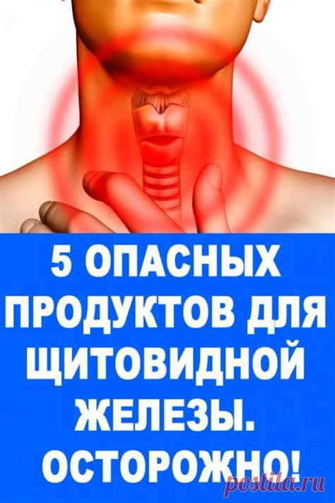 5 опасных продуктов для щитовидной железы. Осторожно! — Женские Совет ...