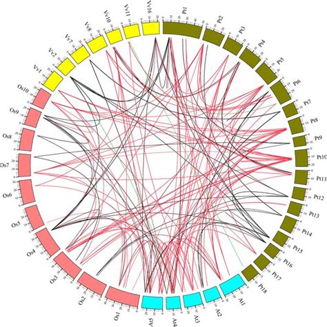 Estimates Of Ka Ks Ratios In Pairwise Comparisons The Ka Ks Ratios Of