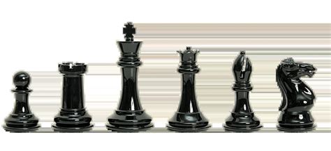 The Fischer Series Chess Pieces 4 King Black And Silver