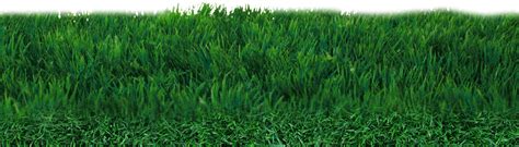 Mat Grass Field Sports Outdoor Nature Turf Png