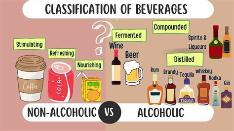 Classification Of Beverage How Many Type Of Beverage YouTube