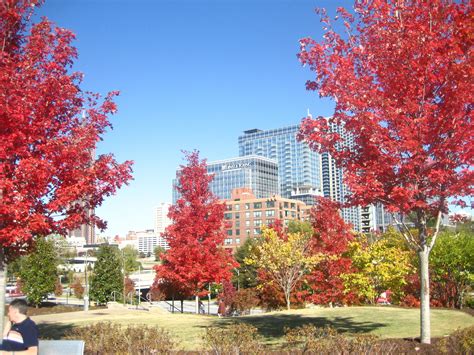 Atlanta in the fall. | Outdoor, Photography, Water