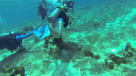 Cozumel Scuba 2015 Part 2 Youtube