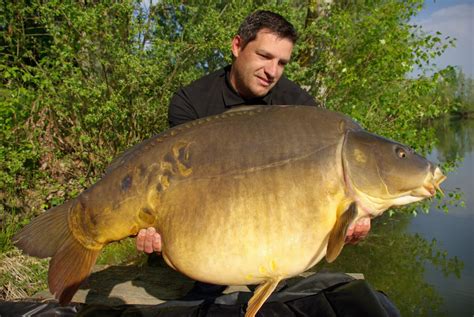 Biggest Carp Ever Recorded