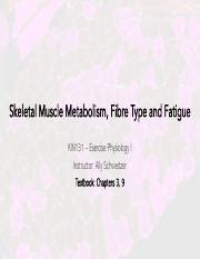 Understanding Skeletal Muscle Metabolism And Fatigue Course Hero