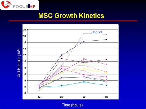 Translational Research For Myocardial Regeneration Ppt Download