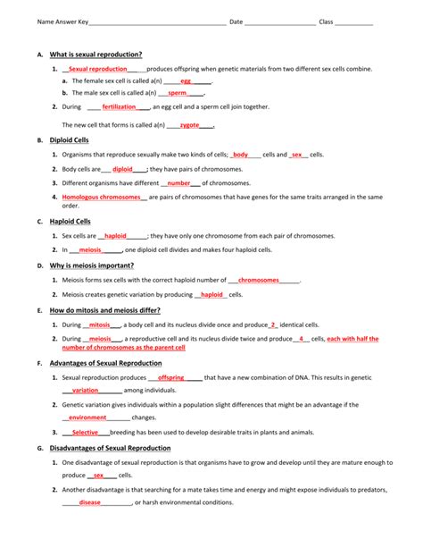 Answer Key For Meiosis