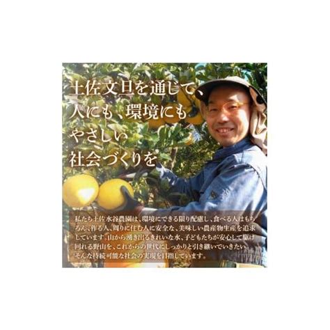 ふるさと納税 高知県 土佐市 本場、高知県土佐市産！土佐水谷農園の露地土佐文旦 家庭用10キロ 10kg （l〜上限なし：16玉前後） 訳あり