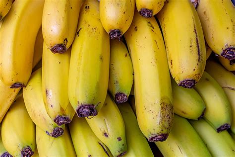 5 usos incríveis para a casca de banana que você não sabia Não jogue