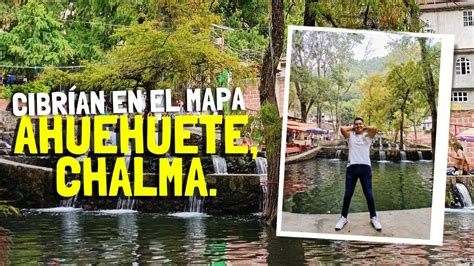 Ahuehuete De Chalma El Arbol Sagrado De Ocuilan Chalma Mexico