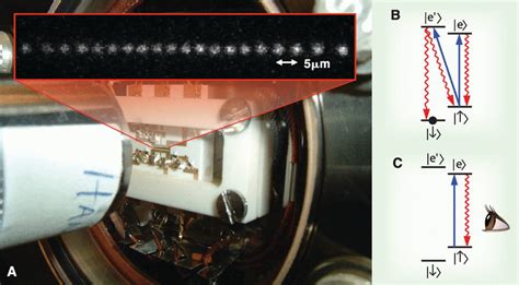 Scaling The Ion Trap Quantum Processor Science