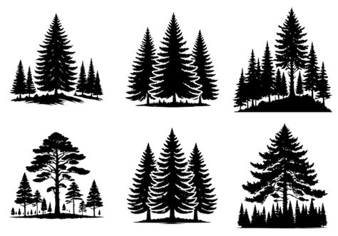 Premium Vector Pine Tree Silhouette Vector Illustration Set