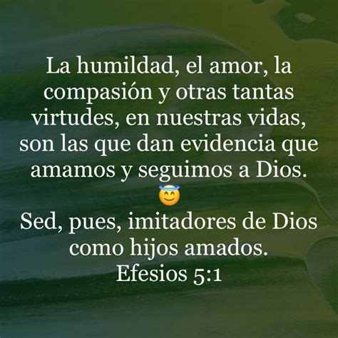 Efesios Sed Pues Imitadores De Dios Como Hijos Amados Biblia