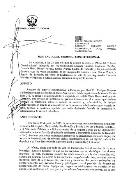 06040 2015 AA Solo Para Premiun EL E BU NAL CONSTITUCIONAL