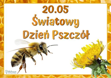 Światowy Dzień Pszczół EduPassion