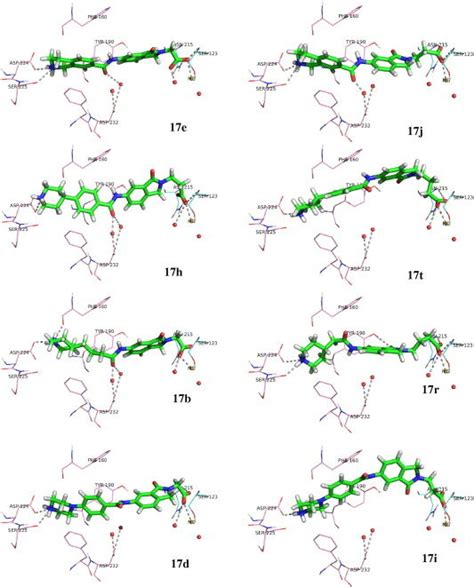 Docking Poses And Interactions Of Compounds 17b D E Hj R T Inside The