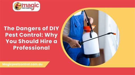 Why You Should Hire A Professional For Pest Control