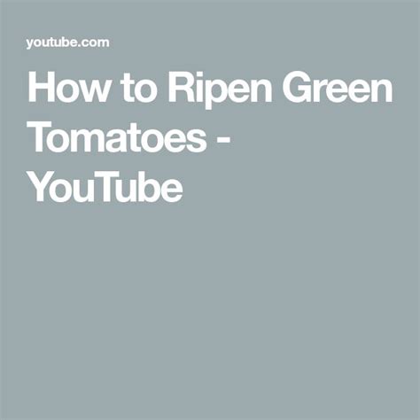 How To Ripen Green Tomatoes Youtube Ripen Green Tomatoes Green