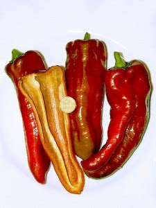 Перец пикантный Пепперончини (Pepperoncini)