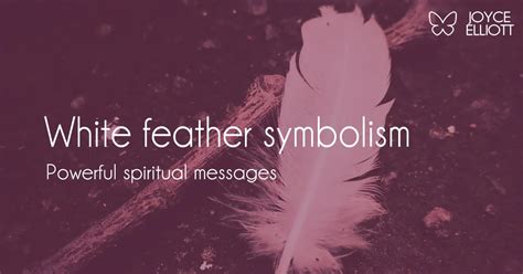 White Feather Symbolism 8 Powerful Spiritual Messages Joyce Elliott