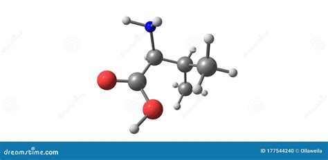 Valine Molecular Structures Amino Acid D Model Structural Chemical