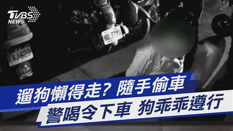 遛狗懶得走 隨手偷車 警喝令下車 狗乖乖遵行｜tvbs新聞tvbsnews01 Youtube